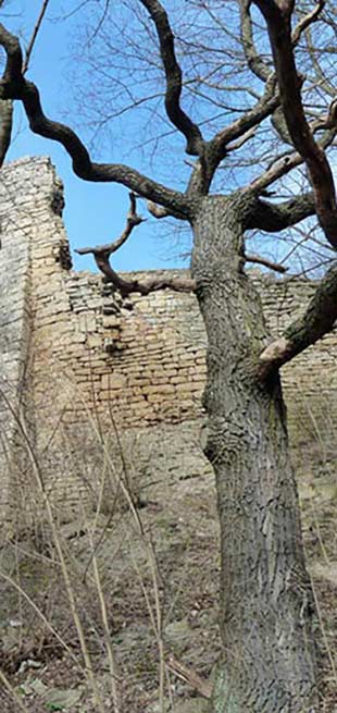 Ruine der Kunitzburg bei Jena