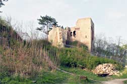 Die Ruine der Lobdeburg über Jena Ruine der Lobdeburg