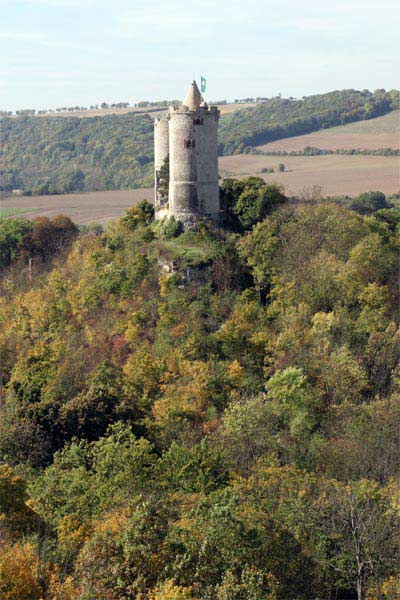 Burg Saaleck an der Saale